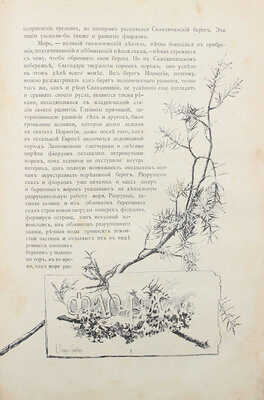 Елисеев А.В. По белу-свету. Очерки и картины из путешествий по трем частям Старого света. [В 4 т.].